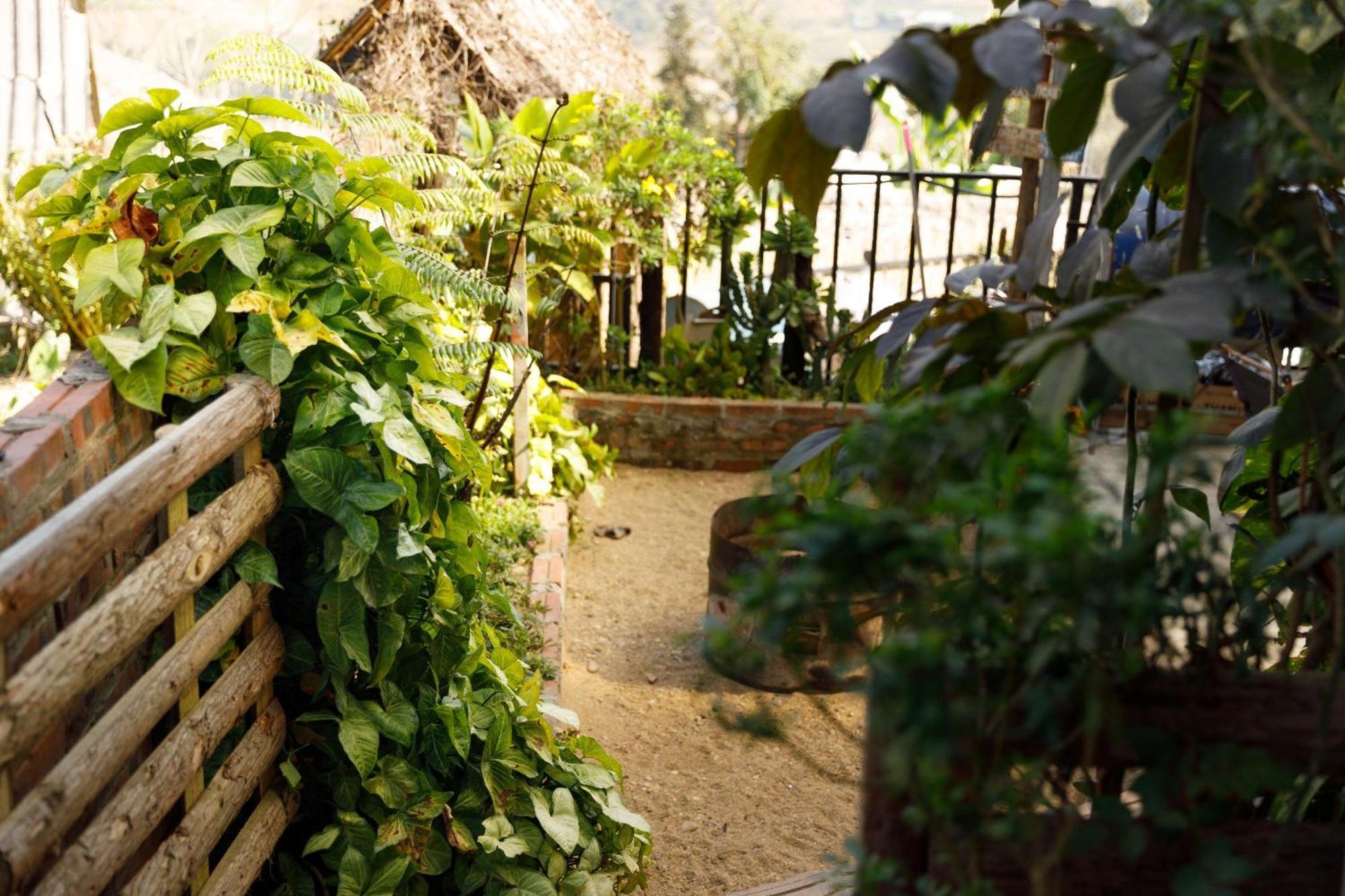 Hotel Sapa Plum Eco House Exteriér fotografie